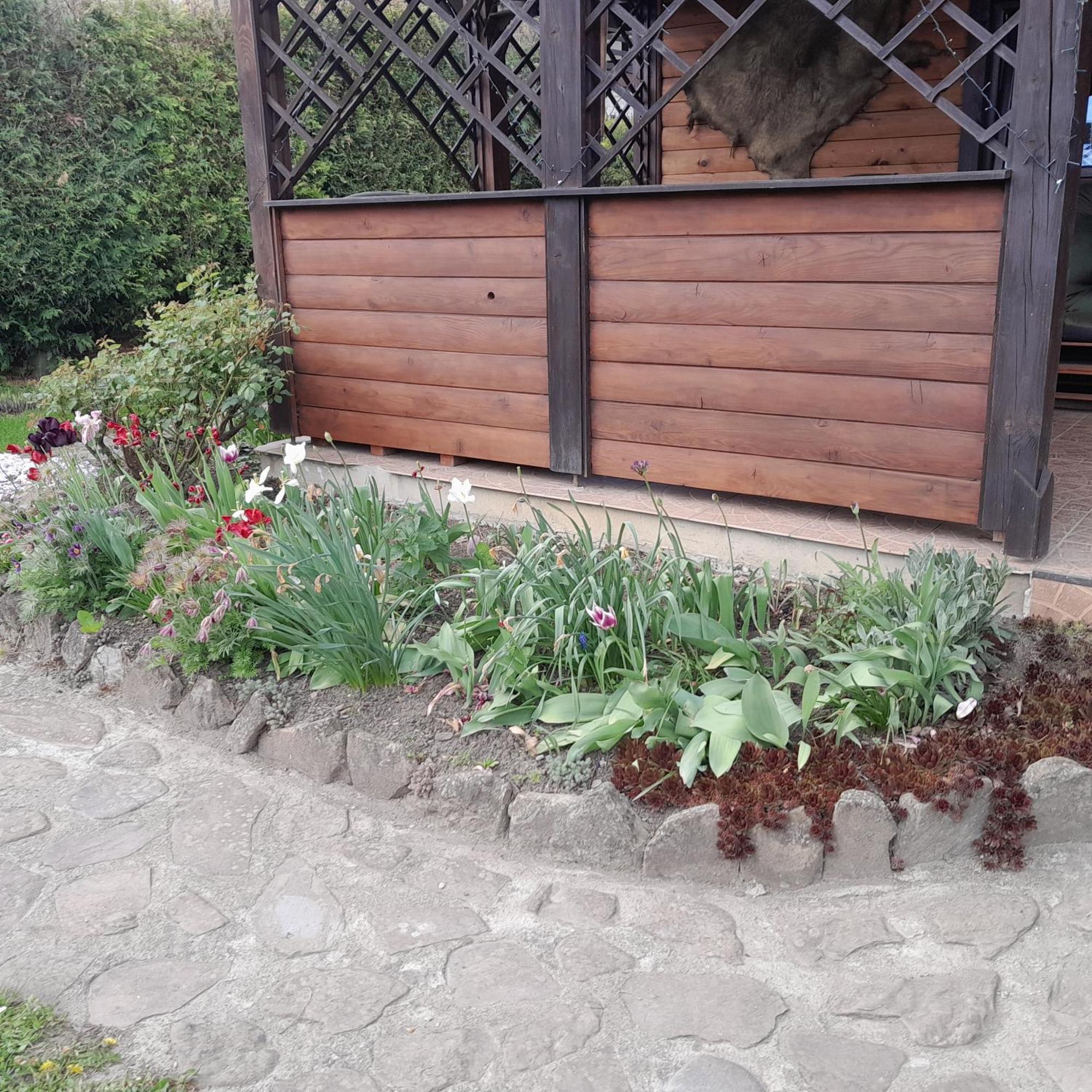 Majowy Domek Rymanów المظهر الخارجي الصورة